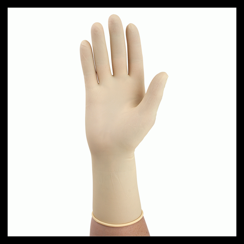 2360 Dynarex Sterile Latex Surgical Gloves  