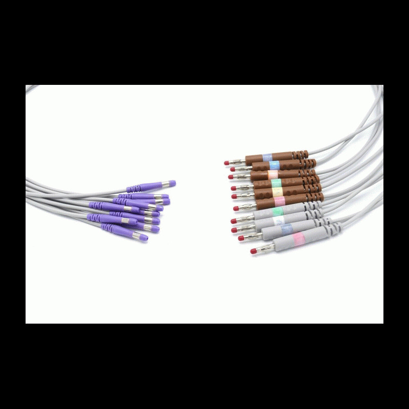  Welch Allyn Compatible 12 Lead ECG Leadwires  CP100 CP200